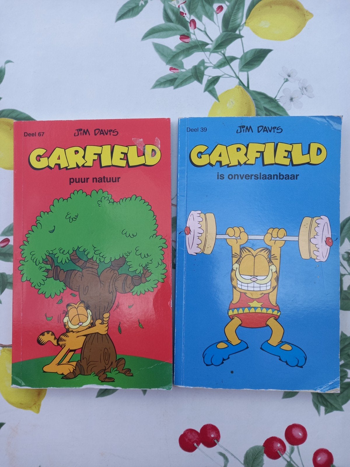 l Garfield stripboeken - Deel 39 en Deel 67, Ophalen of Verzenden