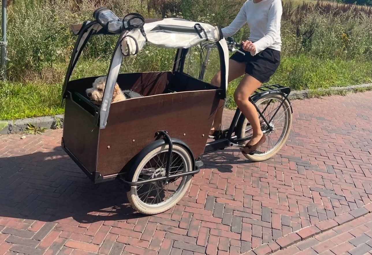 Bakfiets met huif - Ideaal voor kinderen of goederen, Overige merken, Gebruikt, Huif, Ophalen of Verzenden
