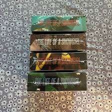 Taylor Swift ‎- The Life Of A Showgirl (NIEUW) complete set, Cd's en Dvd's, Cd's | Pop, Ophalen of Verzenden, Nieuw in verpakking