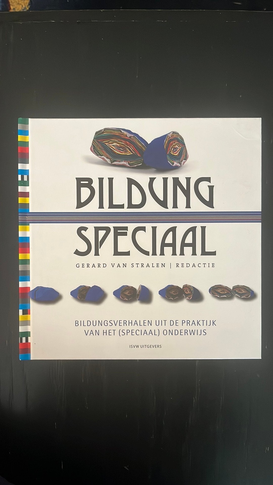 Bildung speciaal, Ophalen of Verzenden, Zo goed als nieuw, Sociale wetenschap