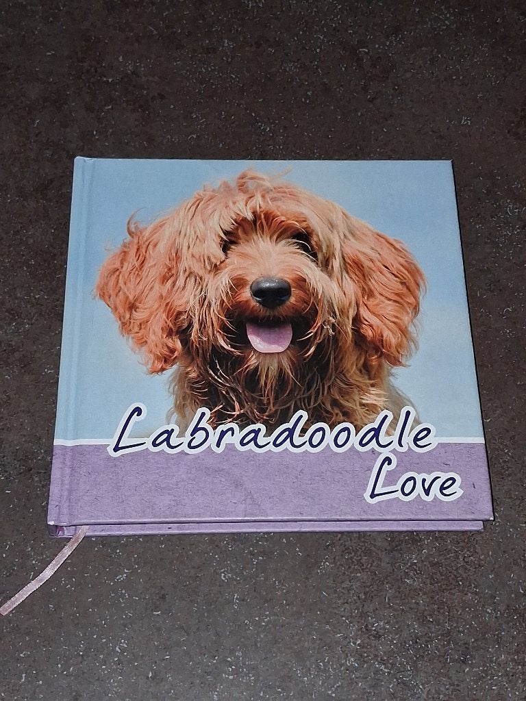 Labradoodle love nieuw Arienne Heuker of Hoek, Ophalen of Verzenden, Nieuw, Honden