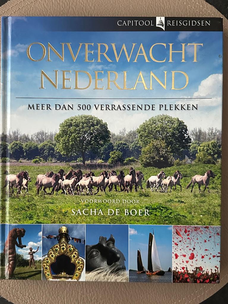 Onverwacht Nederland, Capitool reisgidsen, Boeken, Capitool, Ophalen of Verzenden, Zo goed als nieuw, Reisgids of -boek