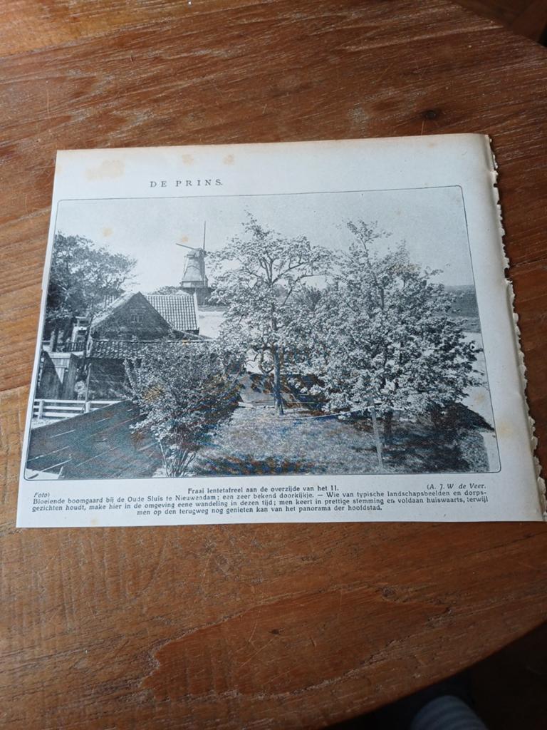 Knipsel boomgaard Oude Slis Nieuwendam 1915, Ophalen of Verzenden, Voor 1920, Knipsel(s)