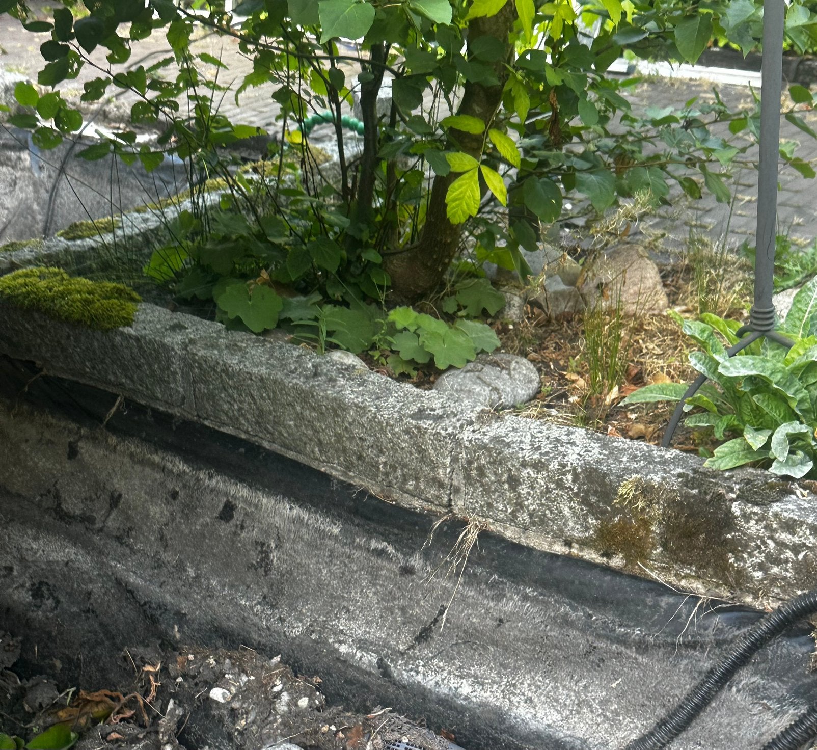 Gratis randstenen/ boordstenen (graniet || natuur), Ophalen, Natuursteen, Overige typen