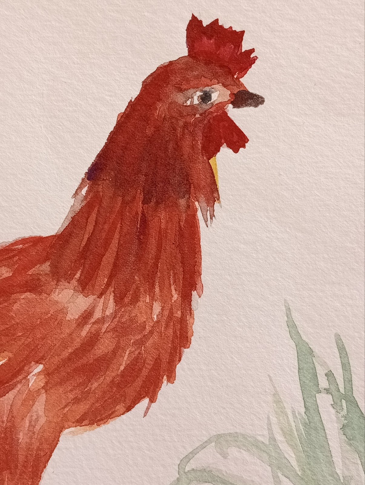Haan aquarel Kunstcriticus Frans Duister, Antiek en Kunst, Ophalen of Verzenden
