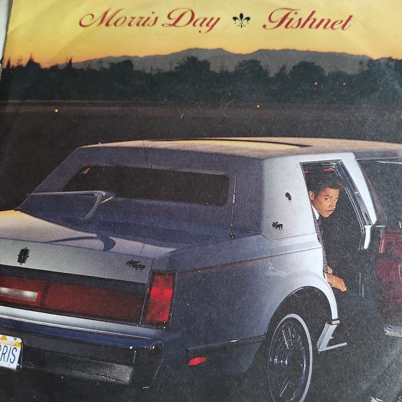 Morris Day - Fishnet ( Single), Ophalen of Verzenden, Gebruikt, 7 inch