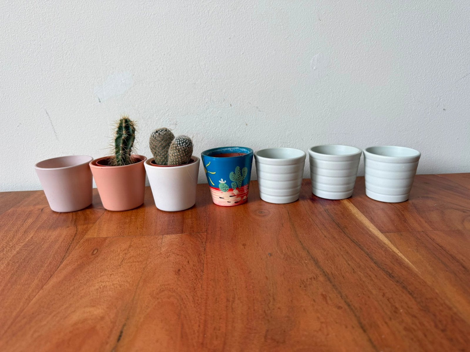 Diverse kleine (cactus) bloempotjes, Rond, Ophalen of Verzenden, Zo goed als nieuw, Aardewerk