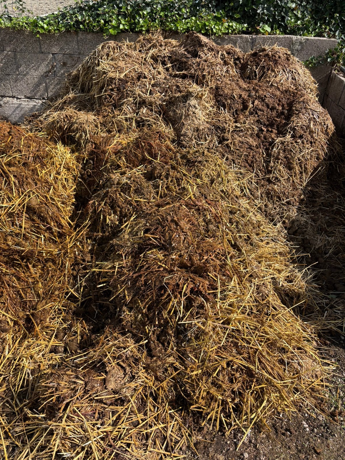 Gratis ophalen. Paardenmest stromest, Tuin en Terras, Ophalen, Mest