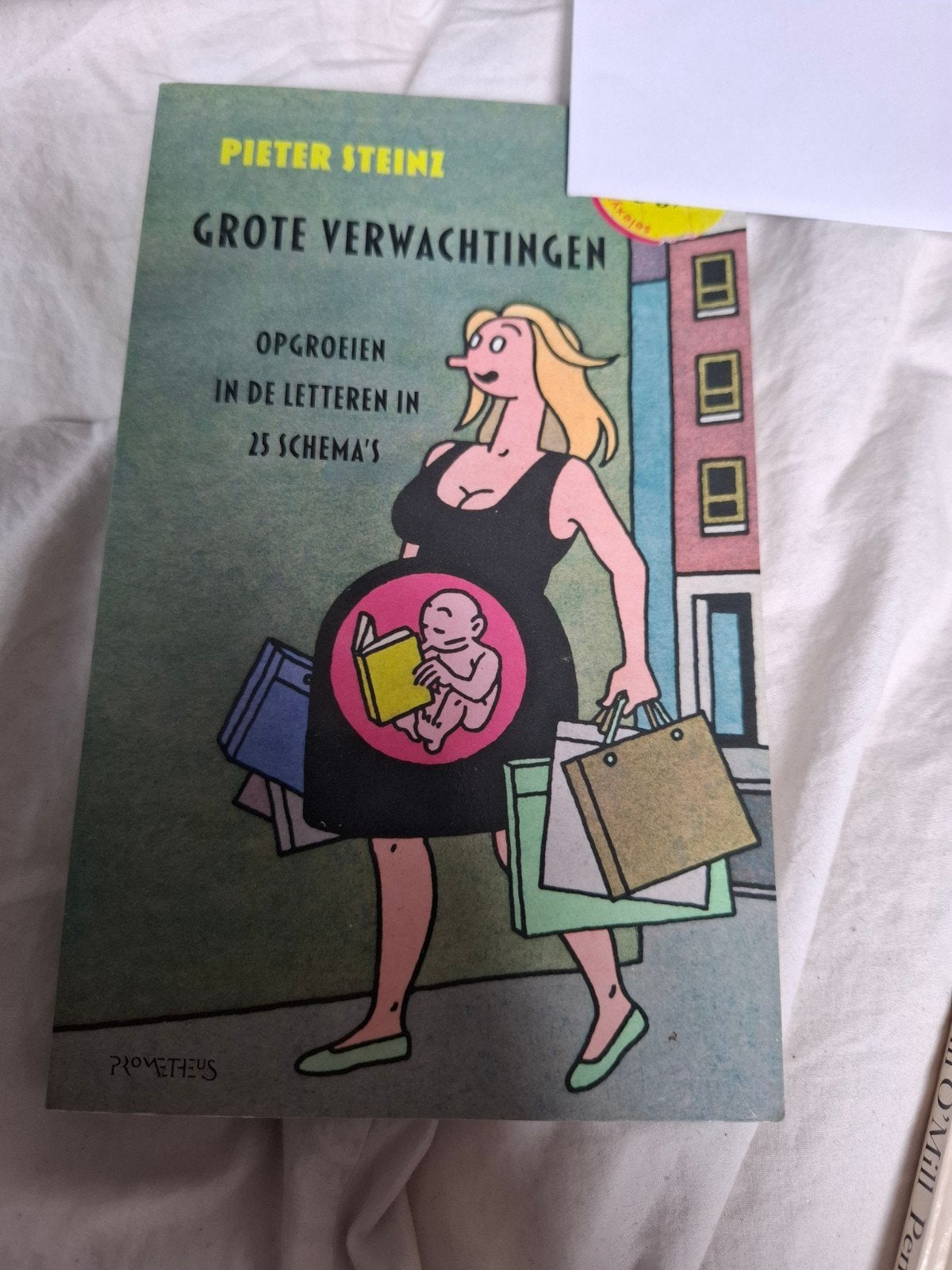 Gratis: Grote Verwachtingen - Pieter Steinz (Zwangerschap), Ophalen of Verzenden, Gelezen, Zwangerschap en Bevalling, Pieter Steinz