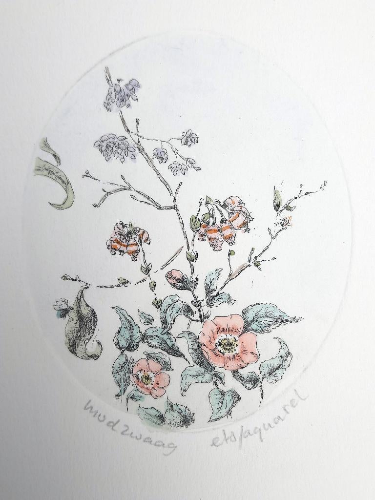 Rozenbottels - Kunstenaar: Marijke van der Zwaag, Antiek en Kunst, Kunst | Etsen en Gravures, 18 cm, Handgekleurd, Ophalen of Verzenden