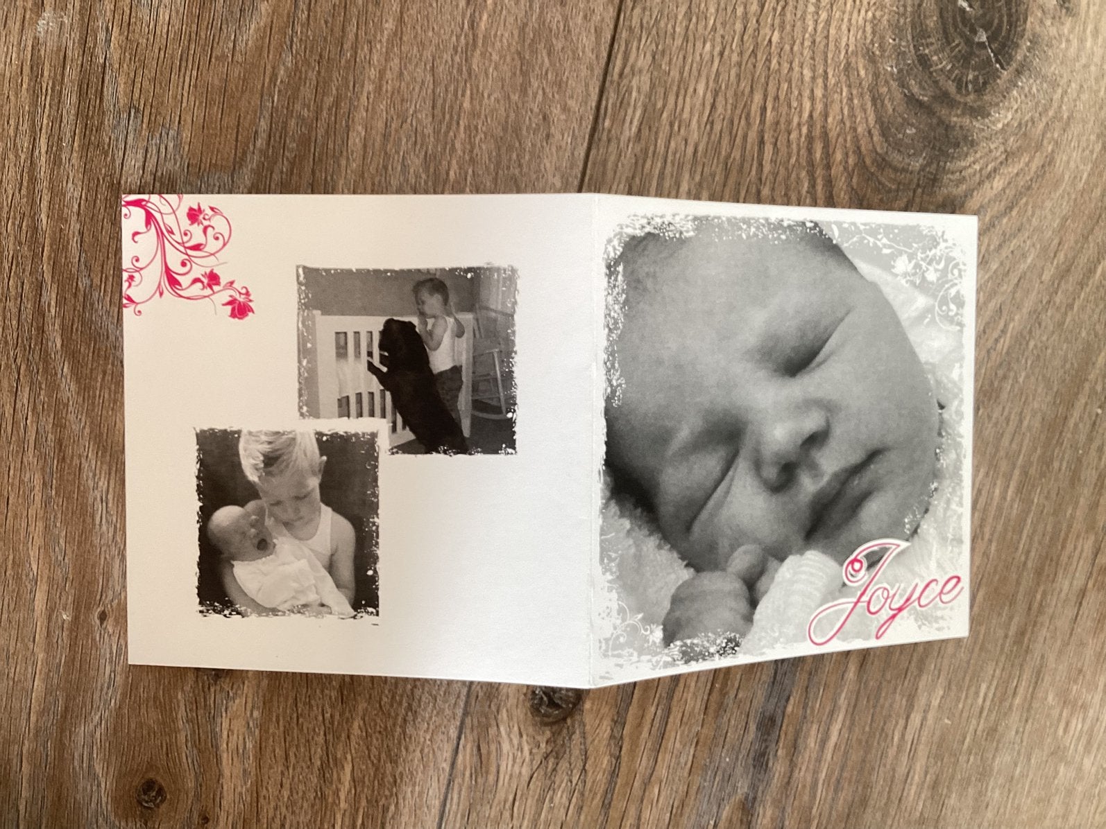 Joyce. Hondje, foto, Ophalen of Verzenden, 2000 tot heden