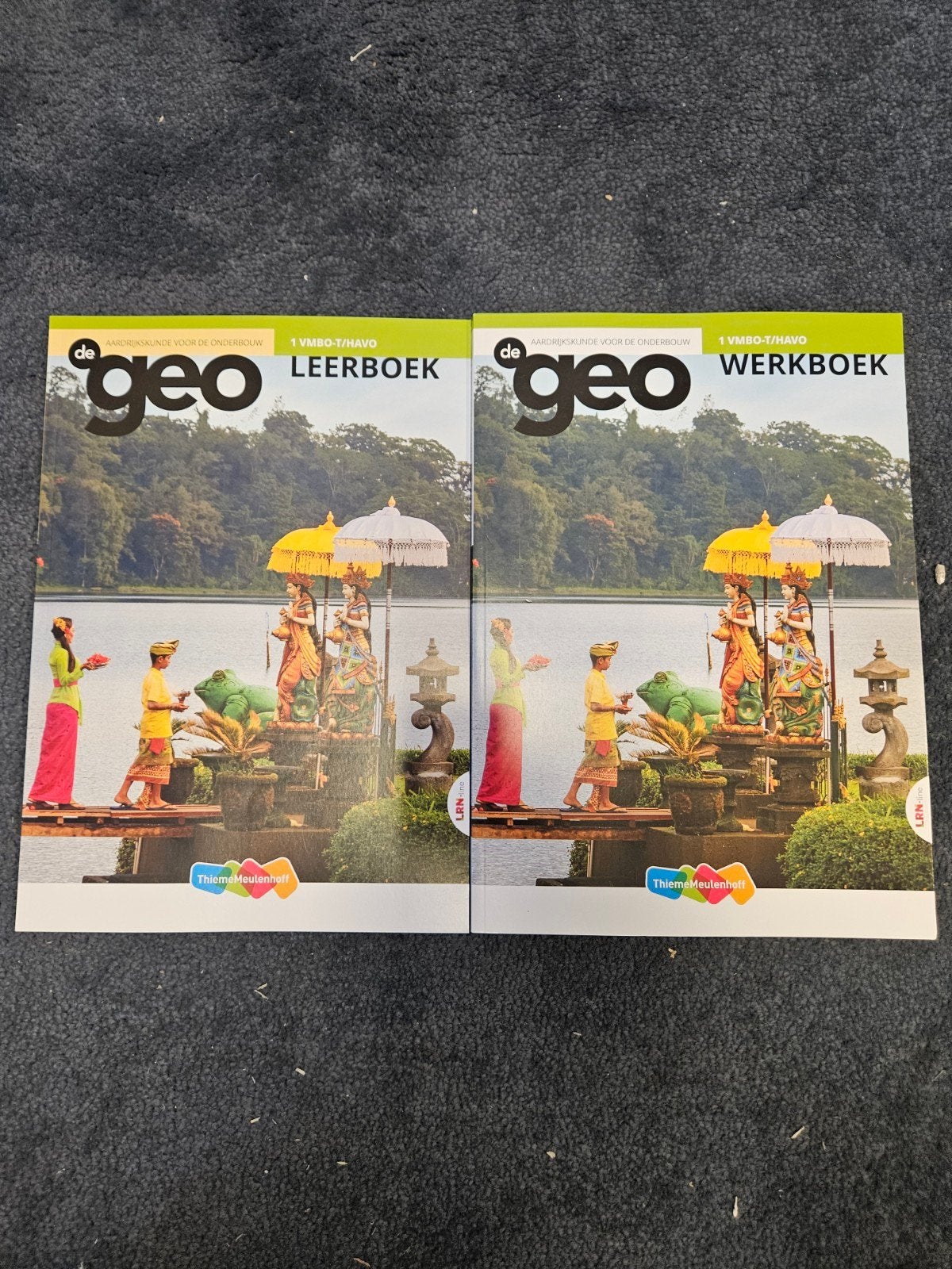 De Geo Aardrijkskunde Leer- en Werkboek 1 VMBO-T/HAVO, Ophalen of Verzenden, Zo goed als nieuw, VMBO, Aardrijkskunde