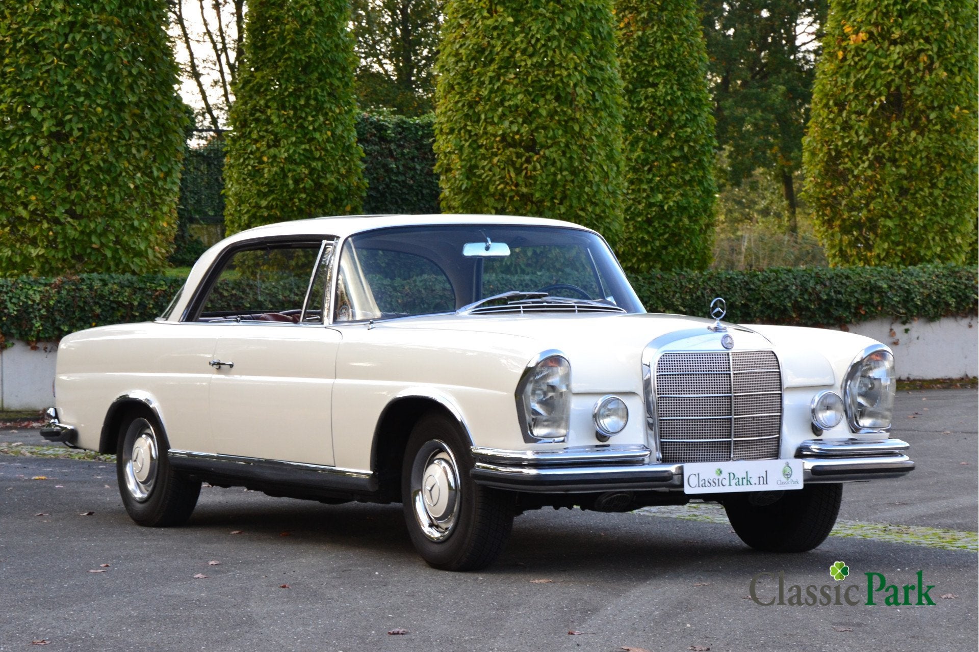 Mercedes-Benz 200-serie 250 SE Coupé (bj 1966, automaat), foto 7