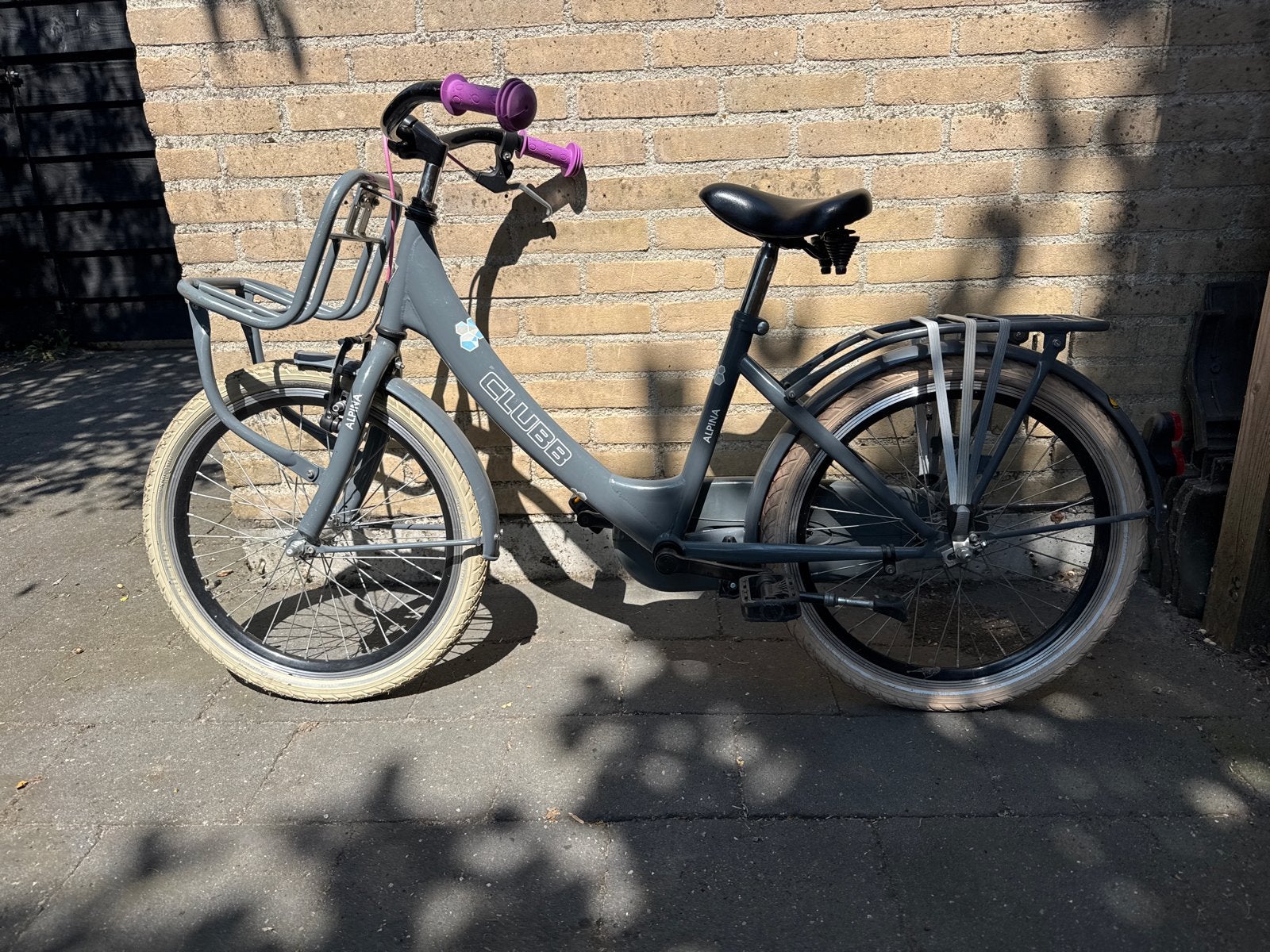 Club Alpina kinderfiets met voordrager - 20 inch, Fietsen en Brommers, Fietsen | Meisjes, Gebruikt, 20 inch, Handrem, Velgrem