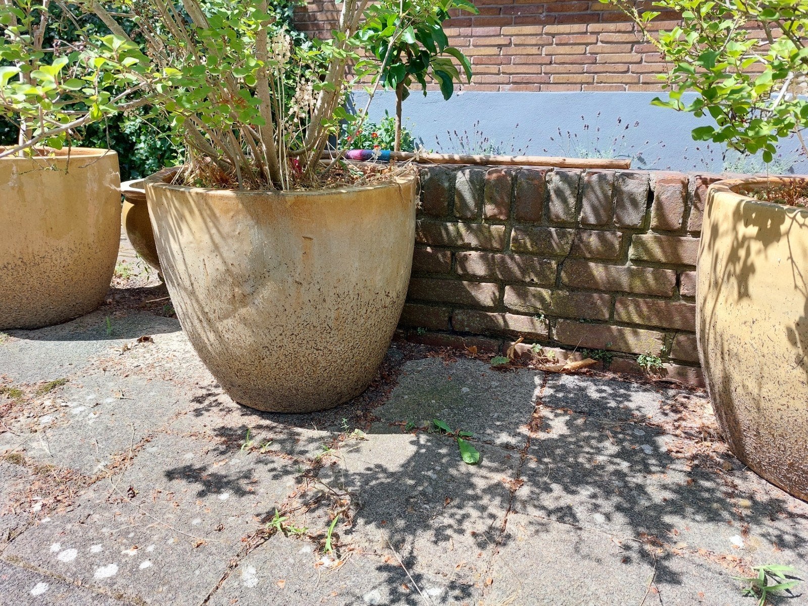 Geglazuurde keramische potten met paarse seringen, Tuin en Terras, Ophalen, Overige materialen, Gebruikt, Rond