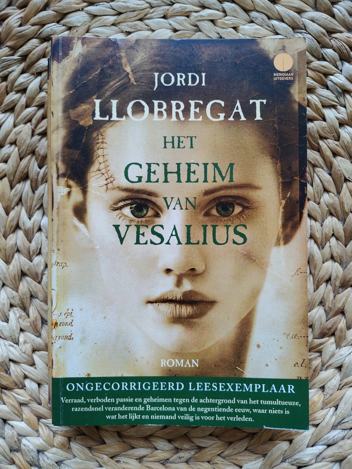 Jordi Llobregat - Het geheim van Vesalius, Ophalen of Verzenden, Gelezen