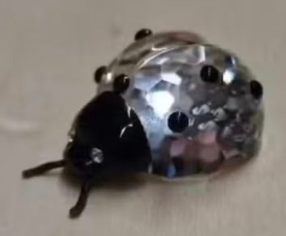 Swarovski lieveheersbeestje, Verzamelen, Ophalen of Verzenden, Zo goed als nieuw, Figuurtje