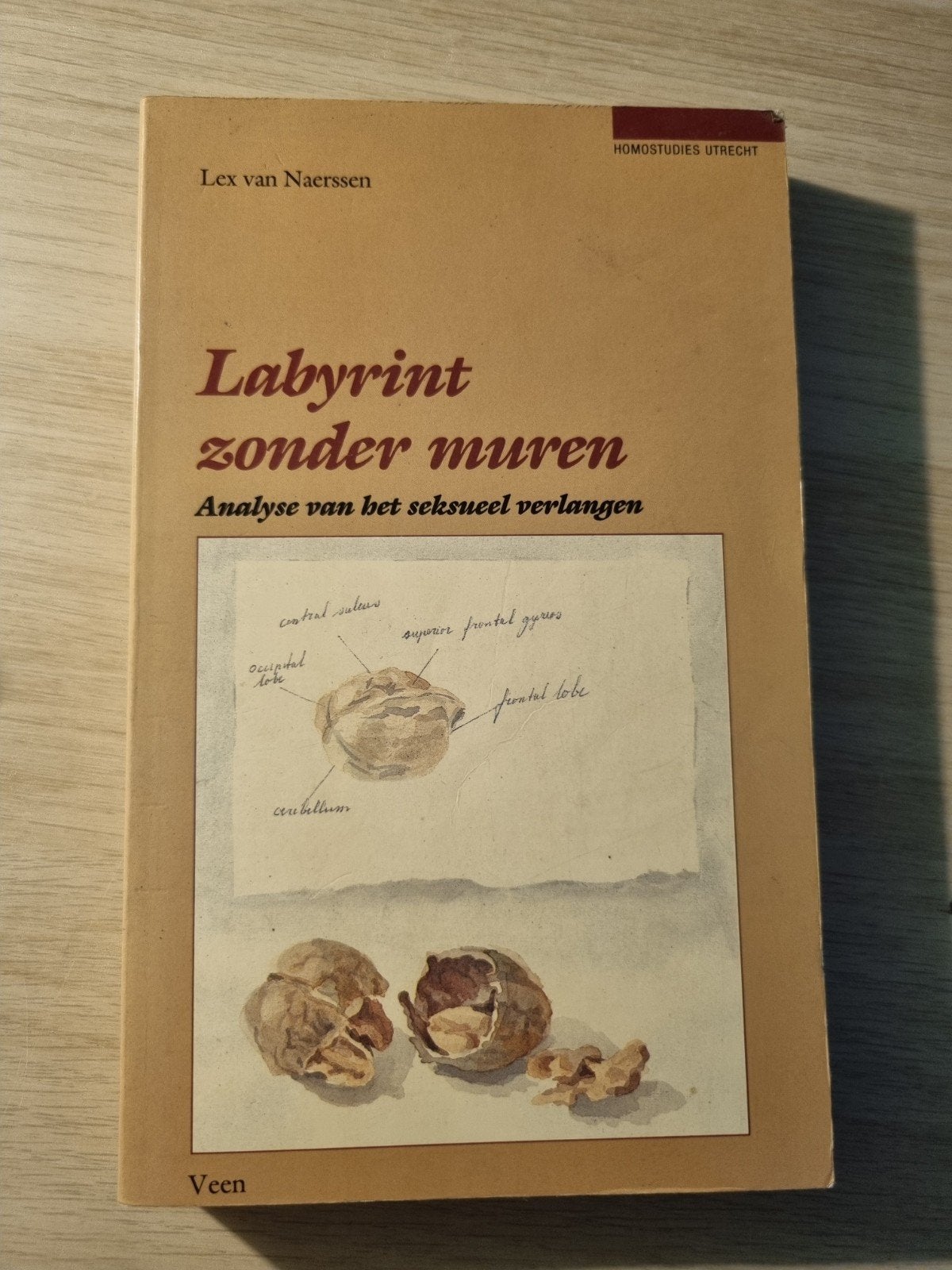 Labyrint zonder muren - Analyse van het seksueel verlangen, Ophalen of Verzenden, Gelezen, Klinische psychologie, Lex van Naerssen