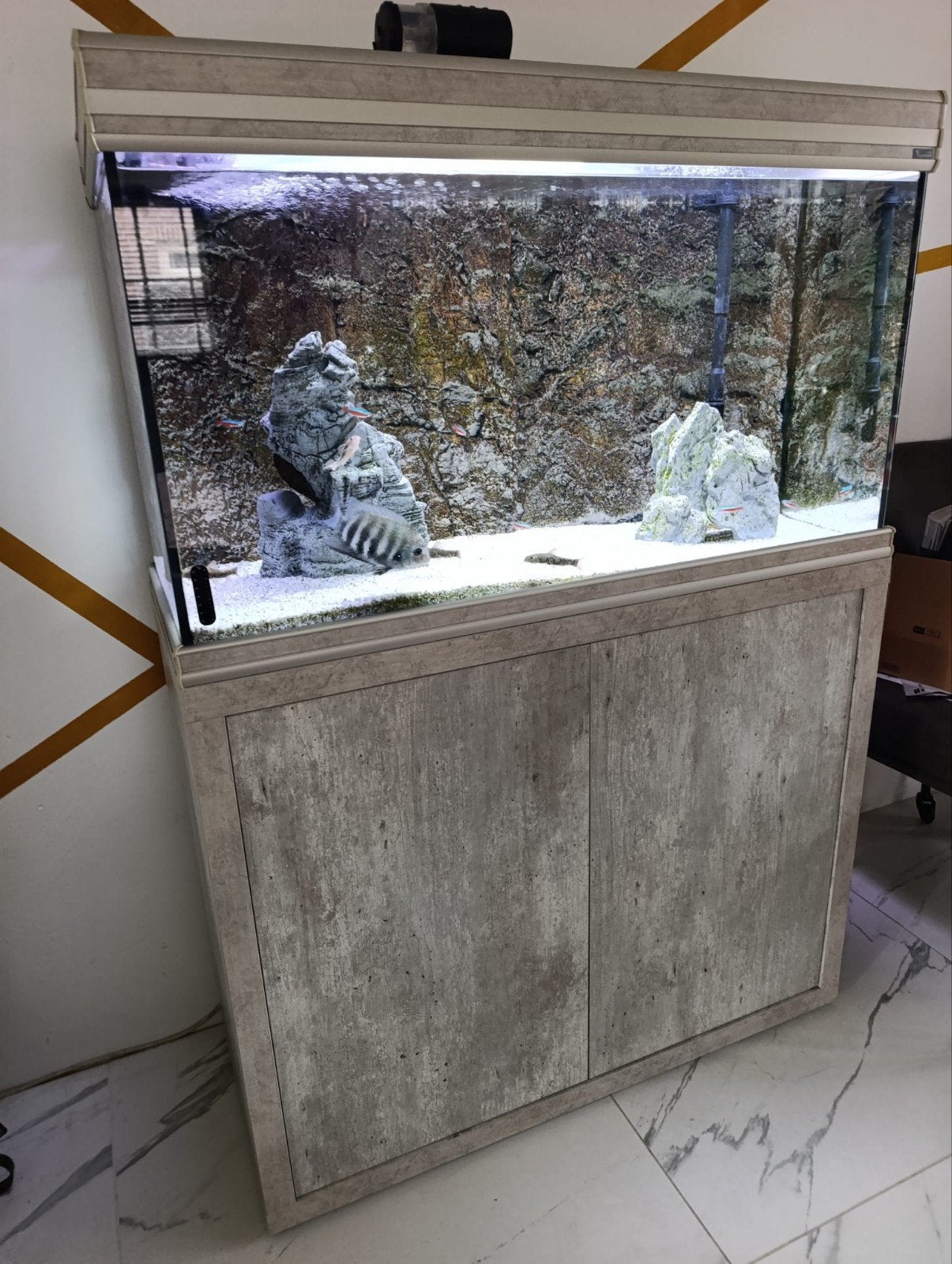 Aquarium te koop, Dieren en Toebehoren, Vissen | Aquaria en Toebehoren, Ophalen