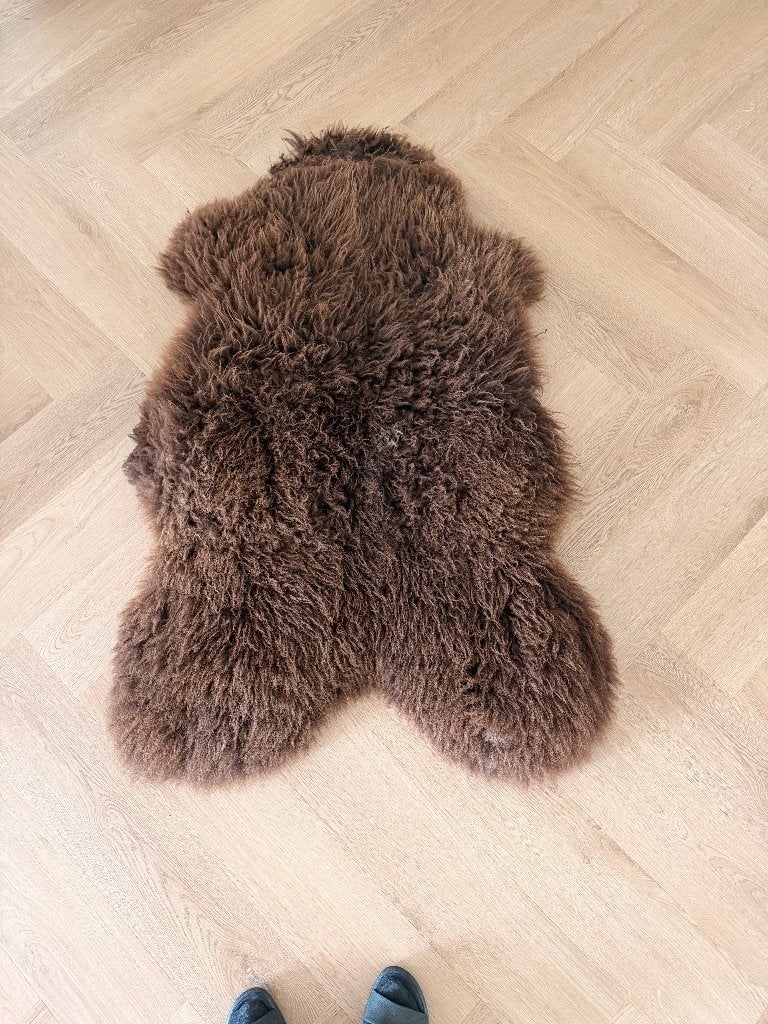 schapen vacht, Vrouwelijk, Schaap