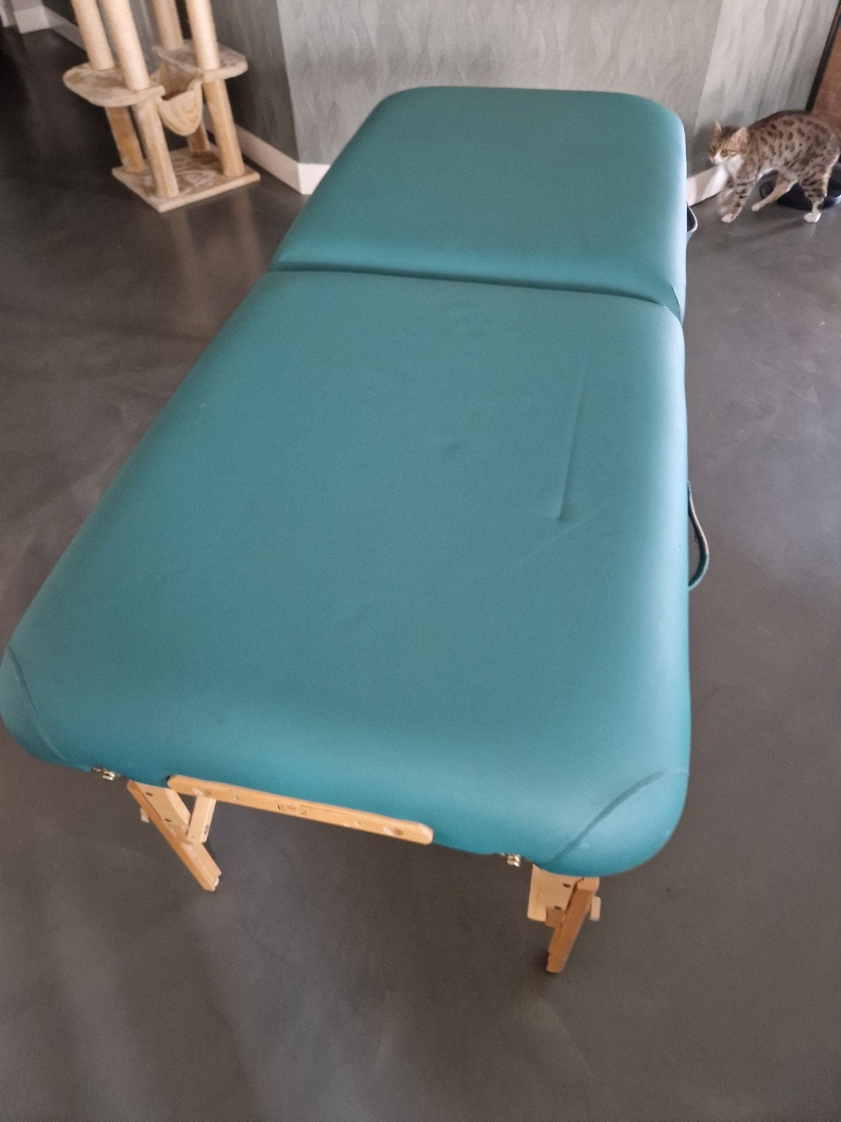 Massagetafel Inner Strength, Ophalen, Gebruikt, Massagetafel