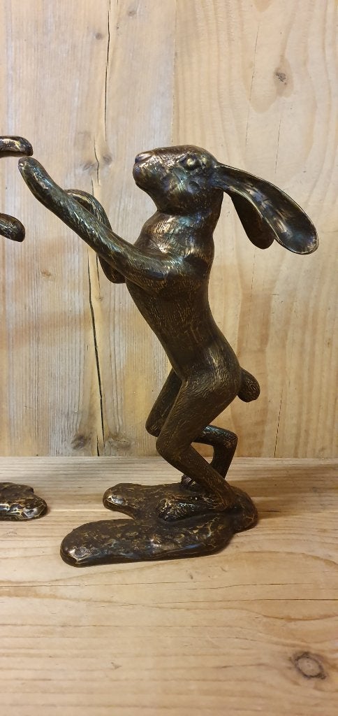 HAZEN / RAMMELAARS / bronzen beeld, Nieuw, Info@huisentuindecoratiemarie.nl, Huis en tuin decoratie marie, Dierenbeeld