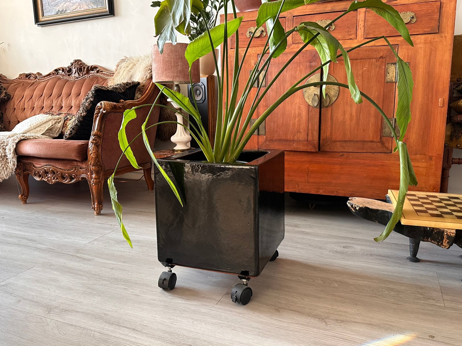 Moderne zwarte plantenpot op wielen, Ophalen, Steen, Minder dan 60 cm, Vierkant
