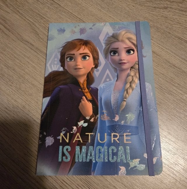 Frozen notitieboekje, Ophalen of Verzenden, Nieuw, A5