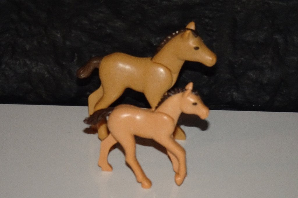 13 - Dieren veulens 3286, Ophalen of Verzenden