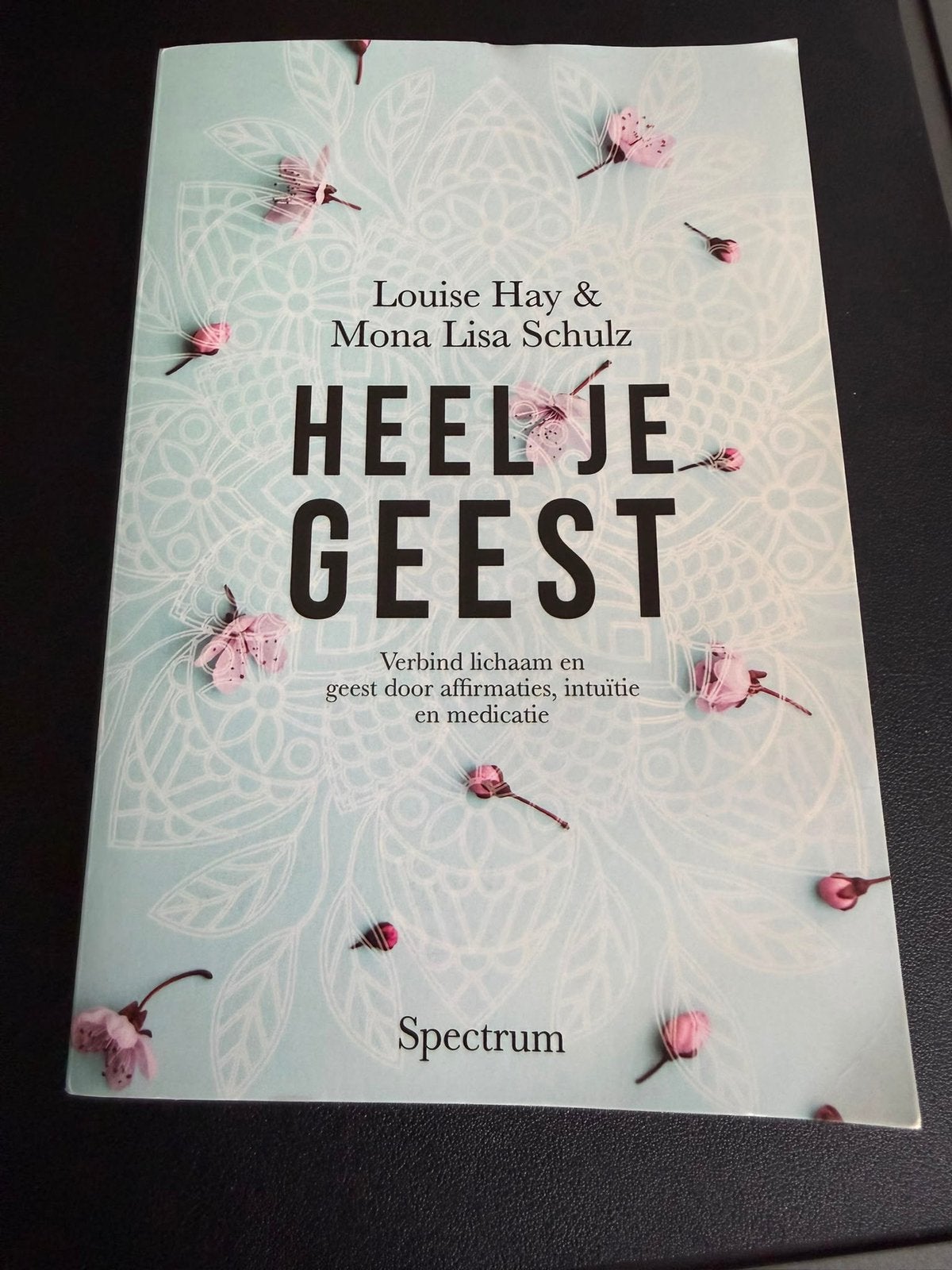 Heel je geest, Boeken, Ophalen of Verzenden, Nieuw, Spiritualiteit algemeen, Overige typen