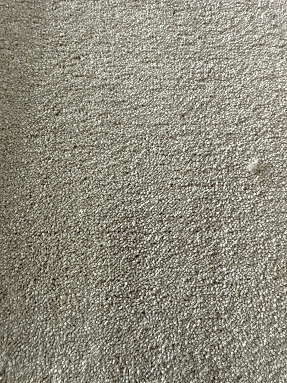 Op=op actie: Beige tapijt op rol 3,50x4m restanten outlet‼️, Huis en Inrichting, Ophalen, Beige, Nieuw, 200 cm of meer
