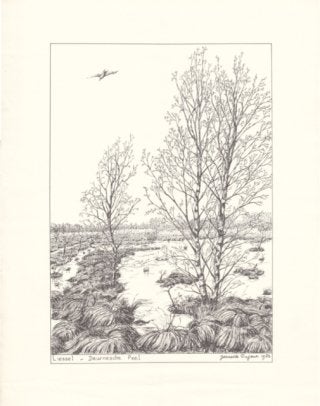 Pentekeningen van Jeanette Dugour., Ophalen of Verzenden, Tekening, Pentekening