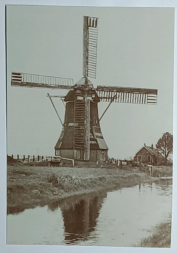 Scheemderzwaag ( Gr. ) foto ! Poldermolen gesloopt okt. 1959, Verzenden, 1980 tot heden, Foto, Zo goed als nieuw