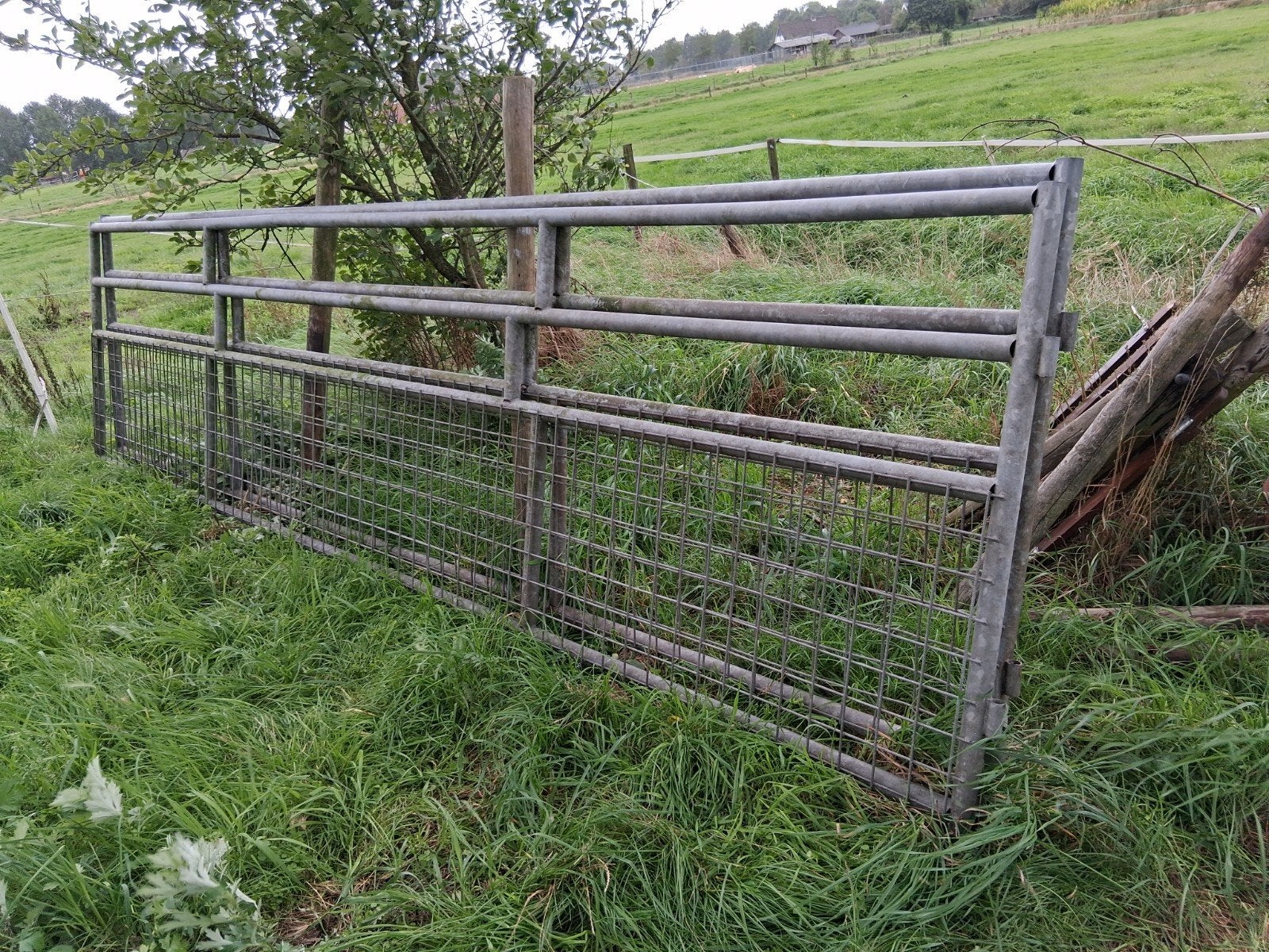 schapenhekken veehekken landhekken
