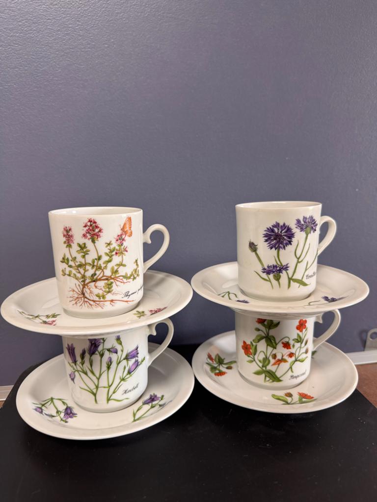 4 Kronester Bavaria kop en schotels, set met bloemmotief, Huis en Inrichting, Keuken | Servies, Ophalen of Verzenden, Zo goed als nieuw