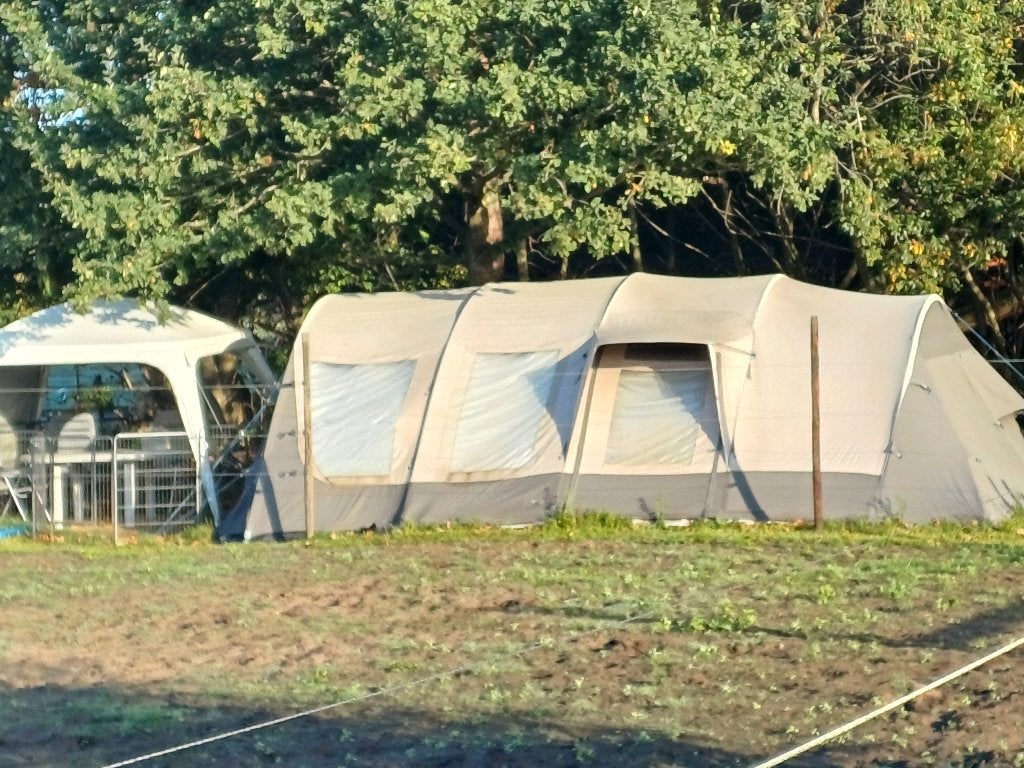 Bardani  dreamlodge  460 prestige, Ophalen, Gebruikt, Tot en met 6