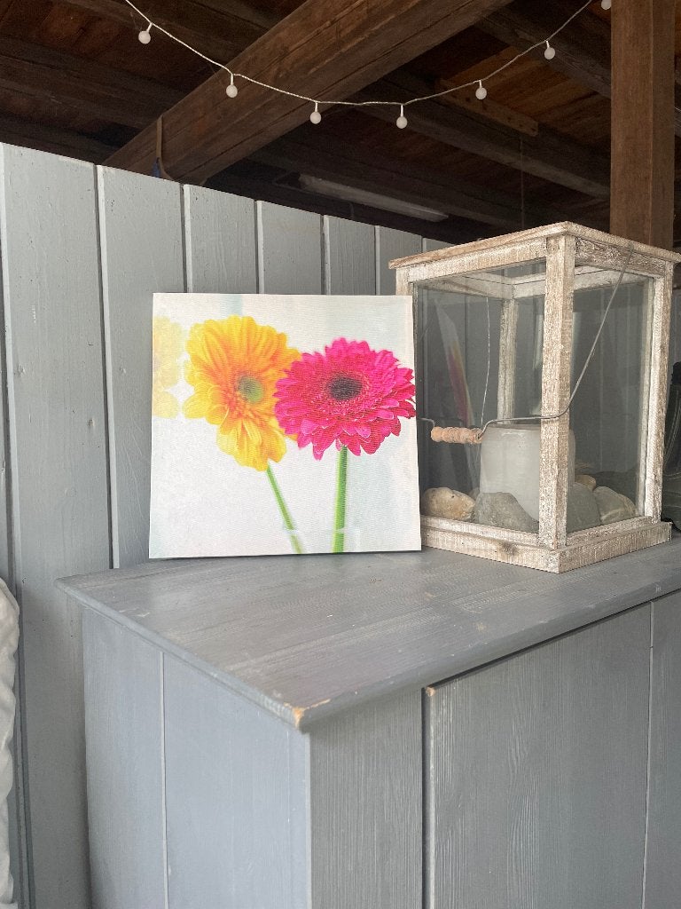 Canvas schilderij, Ophalen, Gebruikt, Schilderij