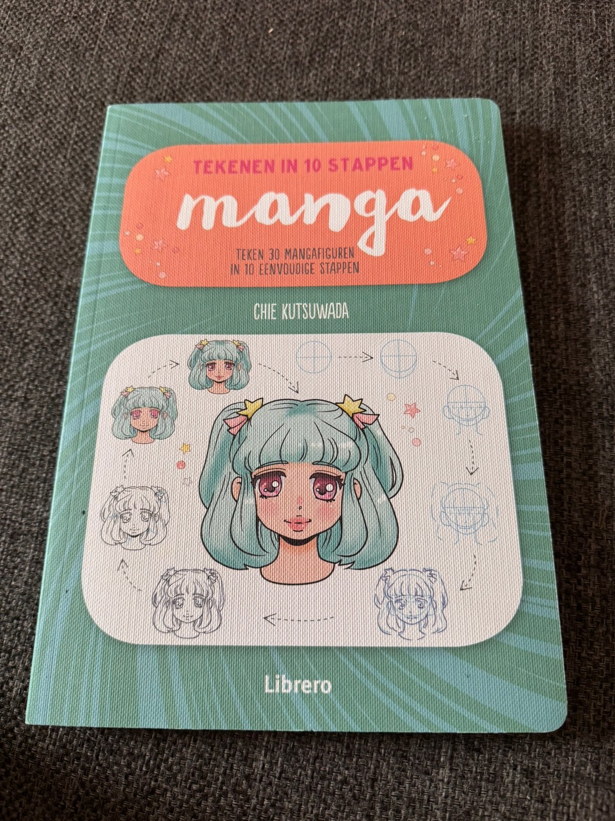 Boek: Manga tekenen in 10 stappen, Hobby en Vrije tijd, Ophalen of Verzenden, Zo goed als nieuw, Boek of Gids