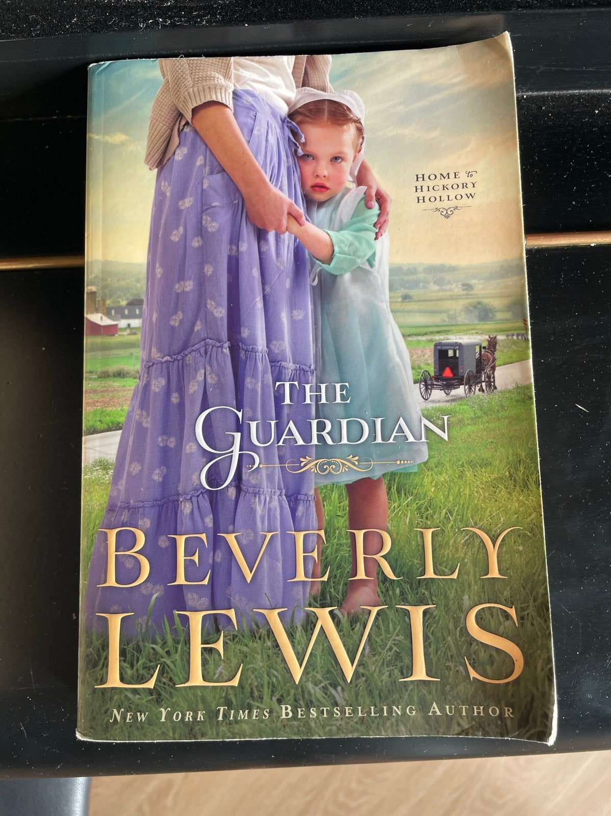 The Guardian - Beverly Lewis (Roman), Boeken, Romans, Ophalen of Verzenden, Zo goed als nieuw, Amerika