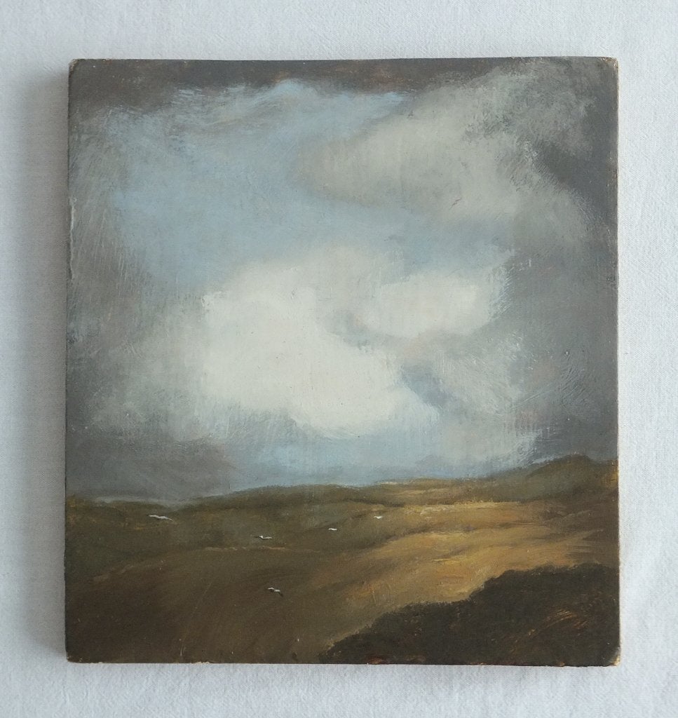 Schilderijtje van Landschap met Vogels - Olieverf, Realistisch, Ophalen of Verzenden, Landschap, Olieverf