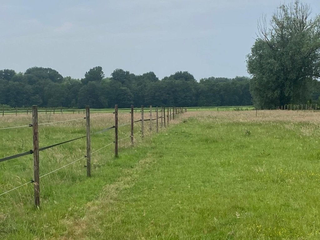 stalling en weidegang, Dieren en Toebehoren, Stalling en Weidegang, Stalling, Weidegang