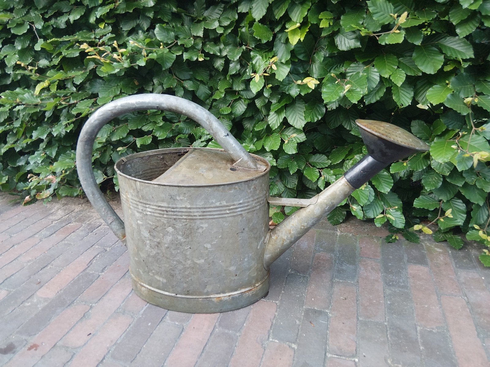 Gieter9, Tuin en Terras, Gieters, Ophalen of Verzenden