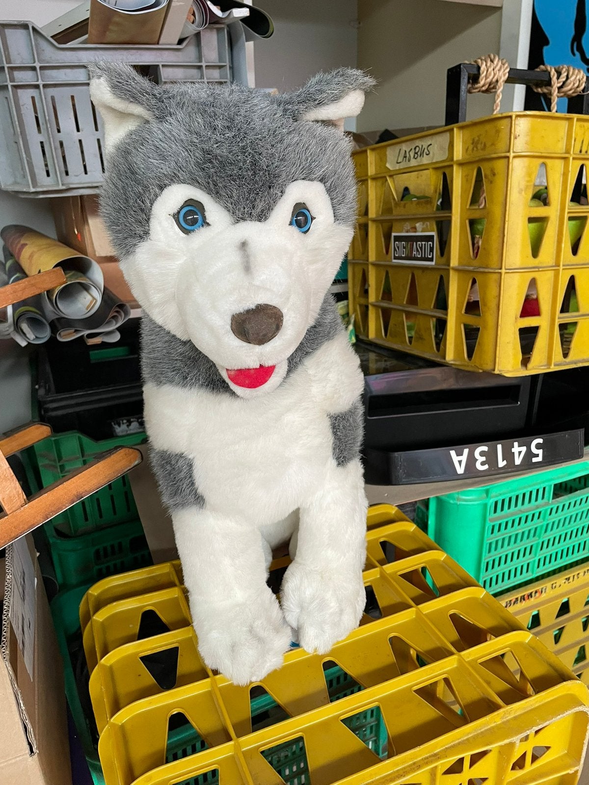 Husky hond knuffel, Ophalen, Zo goed als nieuw, Hond