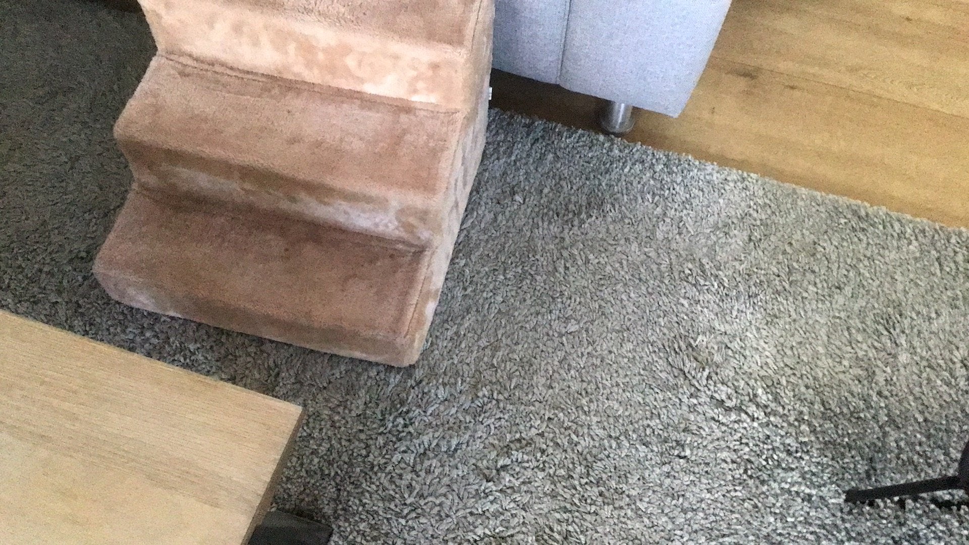Hondentrapje, Dieren en Toebehoren, Honden-accessoires, Ophalen of Verzenden