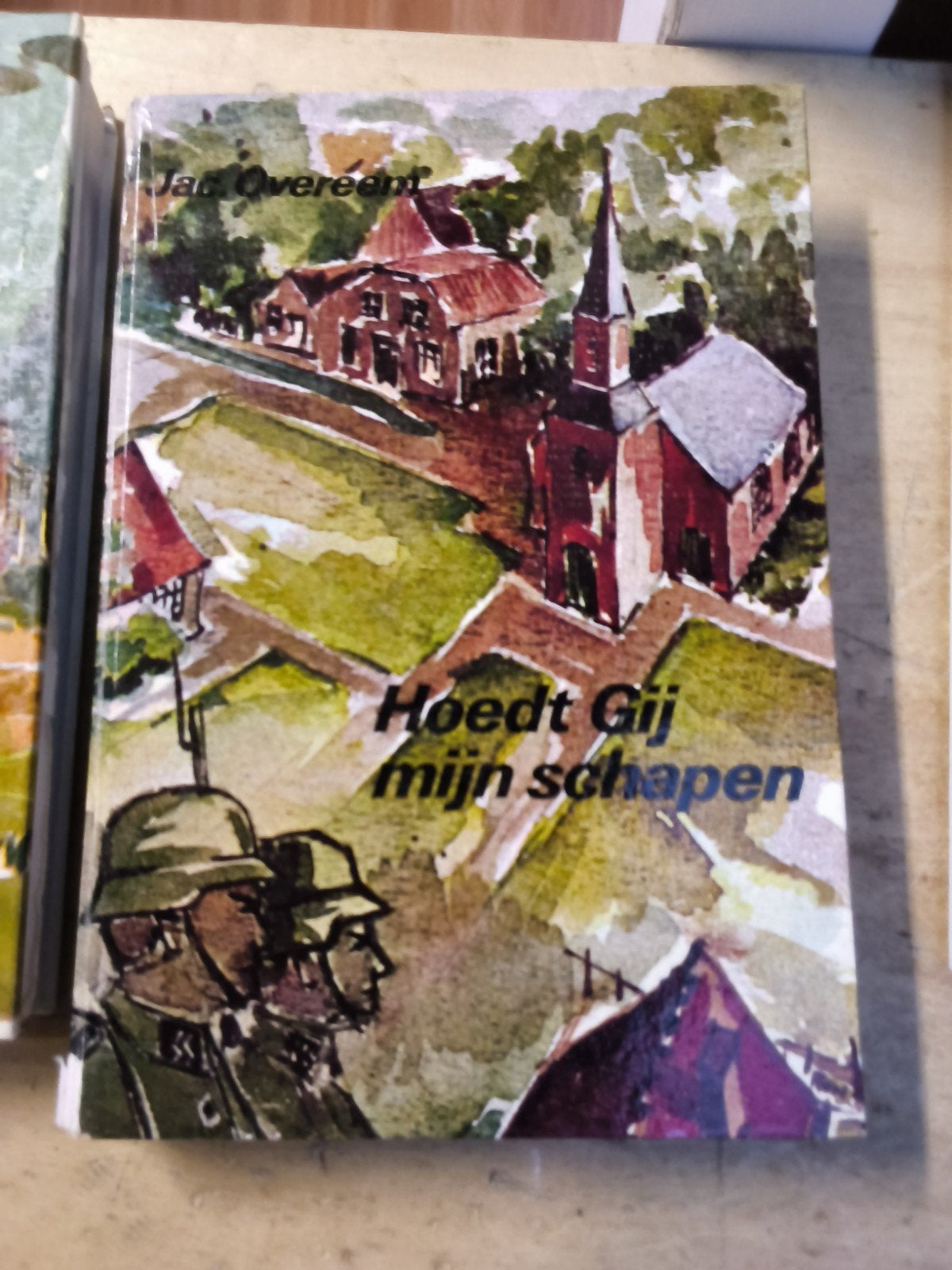 Diverse boeken: Thriller, Roman, Jeugd, Ophalen of Verzenden, Gelezen, John Sandford, Zoë Ferraris, Daniel Cole, Jan Overeem, Nederland
