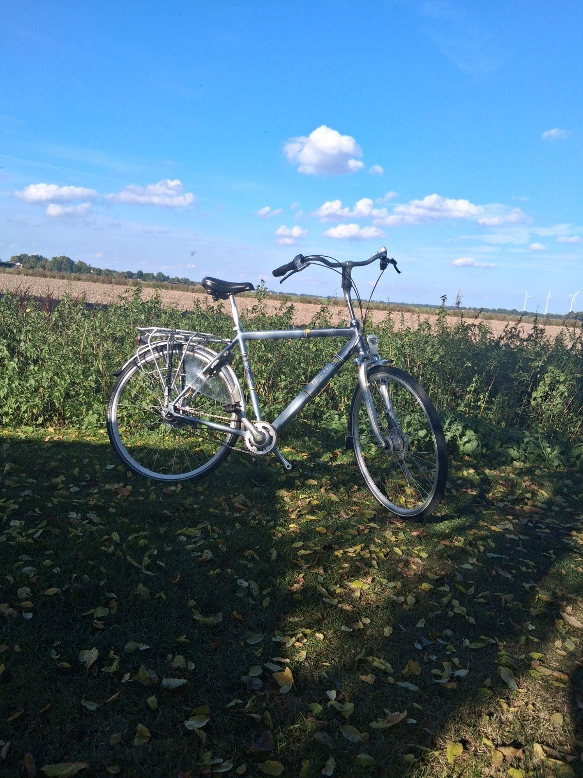 RIH fiets, Velgrem, Versnellingen, Ophalen, Overige merken