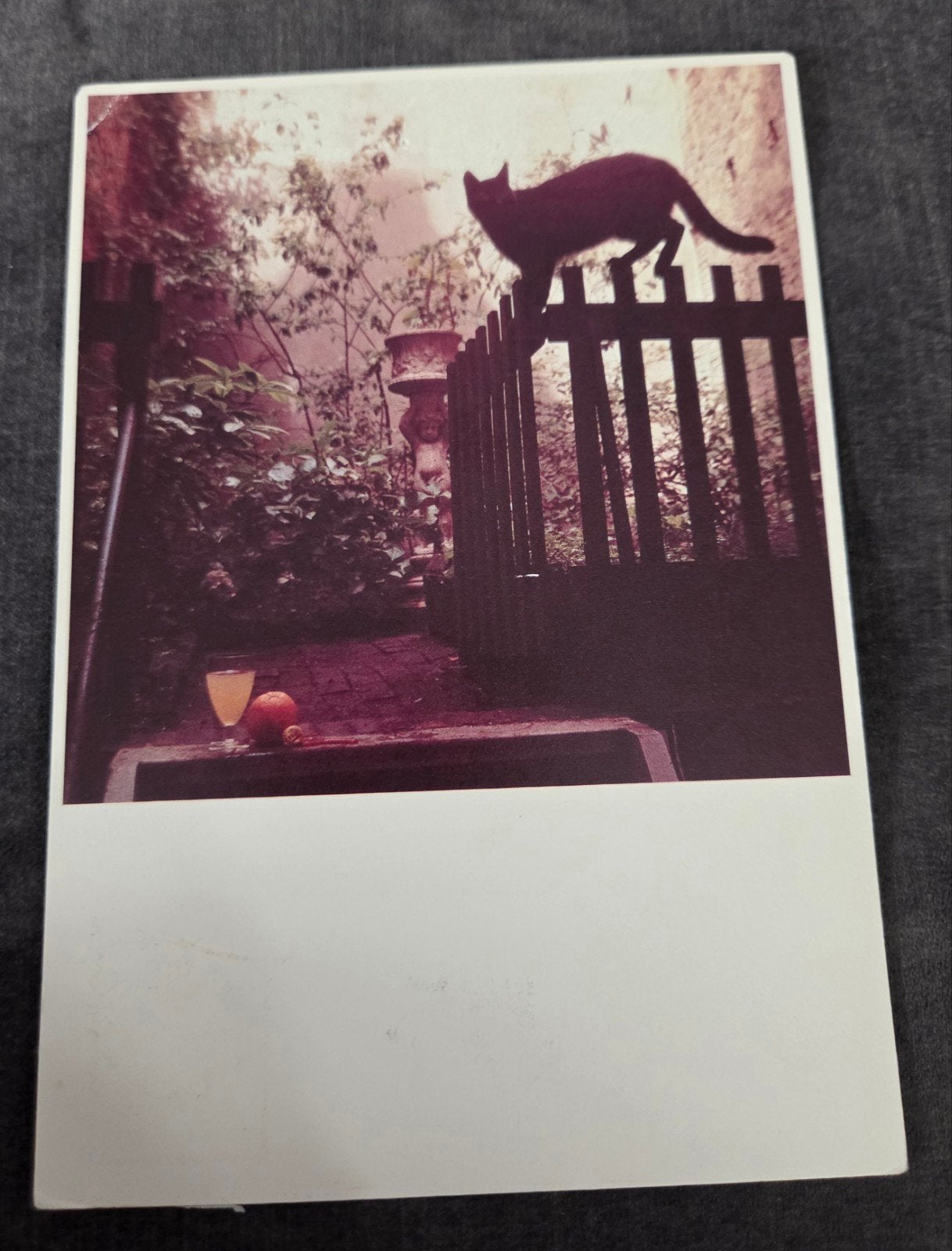 Kat op Hek, Verzenden, 1980 tot heden, Gelopen, Hond of Kat