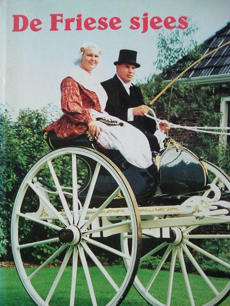 De Friese sjees., Ophalen of Verzenden, G. Bouma, 20e eeuw of later, Gelezen