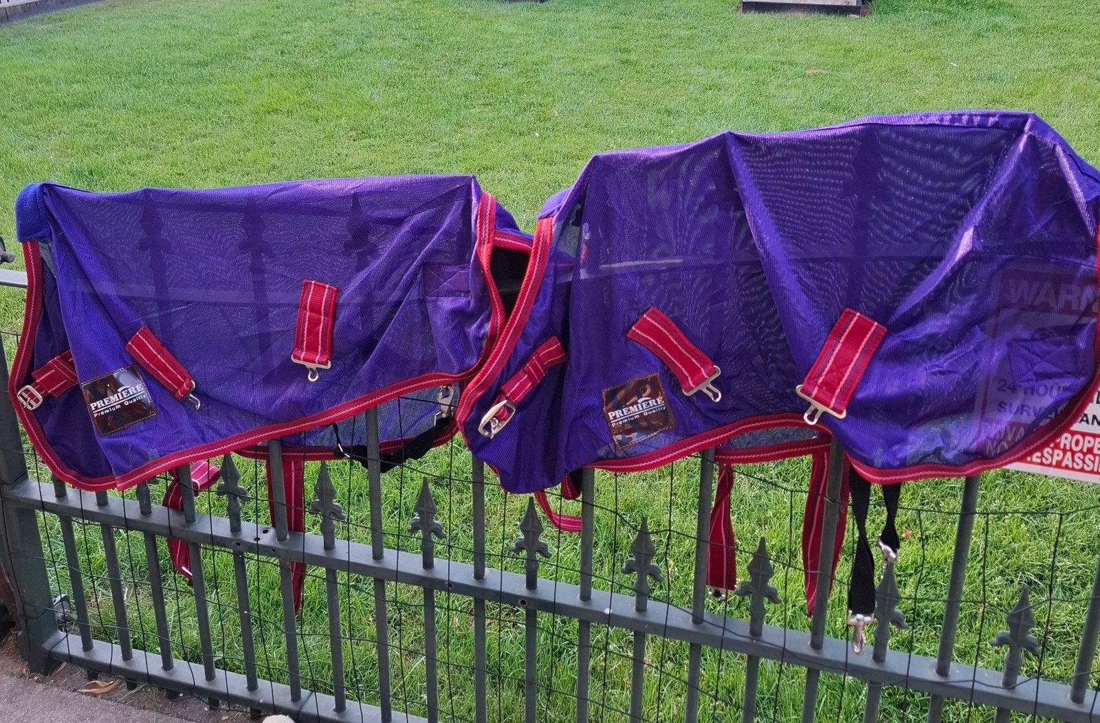 Premiere XS vliegendeken, Dieren en Toebehoren, Paarden en Pony's | Dekens en Dekjes, Ophalen of Verzenden, Nieuw