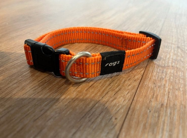 Oranje honden halsband, Ophalen of Verzenden, Zo goed als nieuw